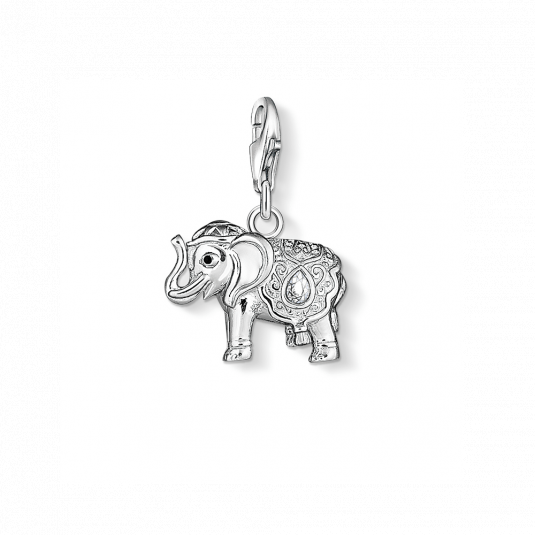 THOMAS SABO prívesok charm 1050-041-14