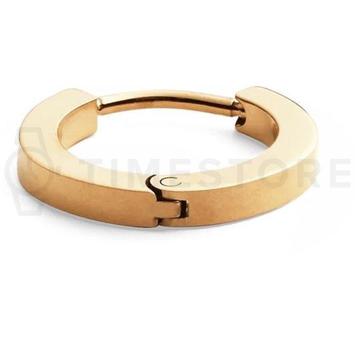 Single náušnica Daniel Wellington DW00400872